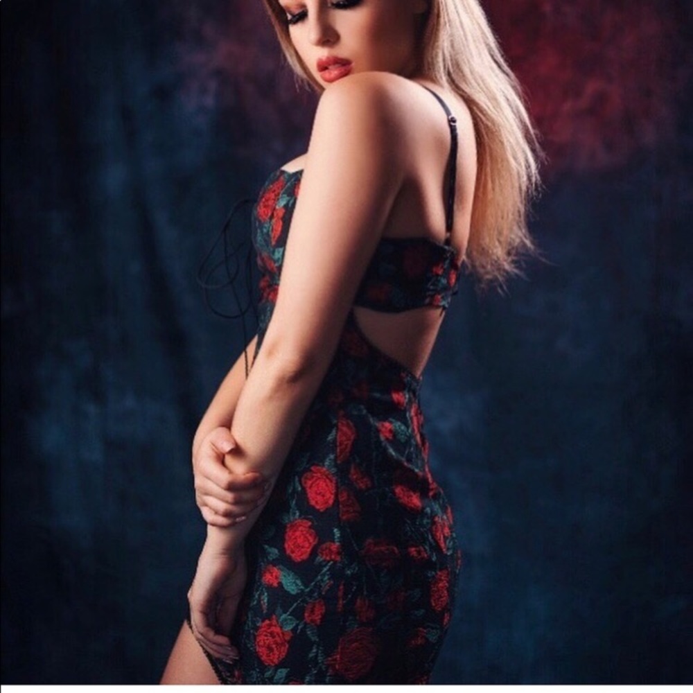 For Love & Lemons Free People Rose brocade Floral Mesh pin dot corset dress XS - Picture 4 of 11